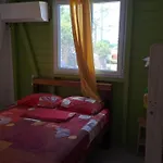 Les Bungalows De Pipo 1